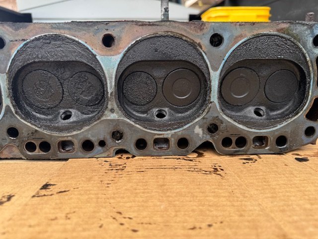 IMG_1257.jpg IMG_1257.jpg