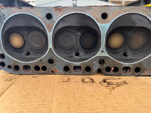 IMG_1256.jpg IMG_1256.jpg