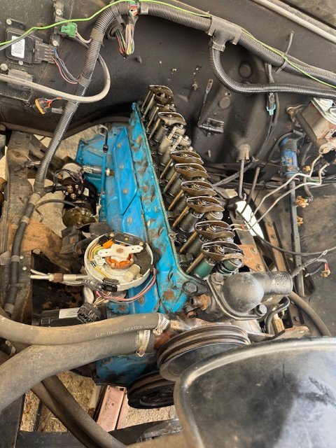 IMG_1250.jpg IMG_1250.jpg