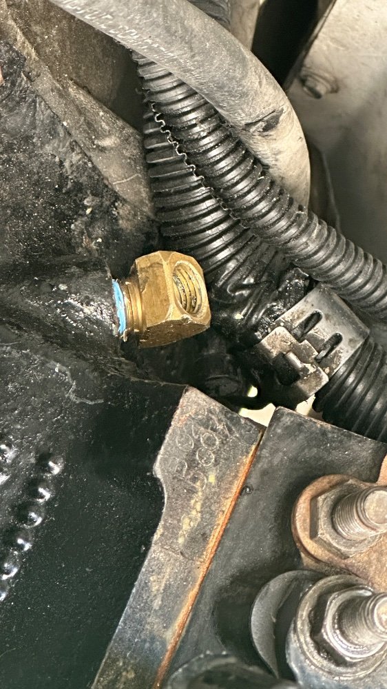 IMG_7532.jpeg IMG_7532.jpeg