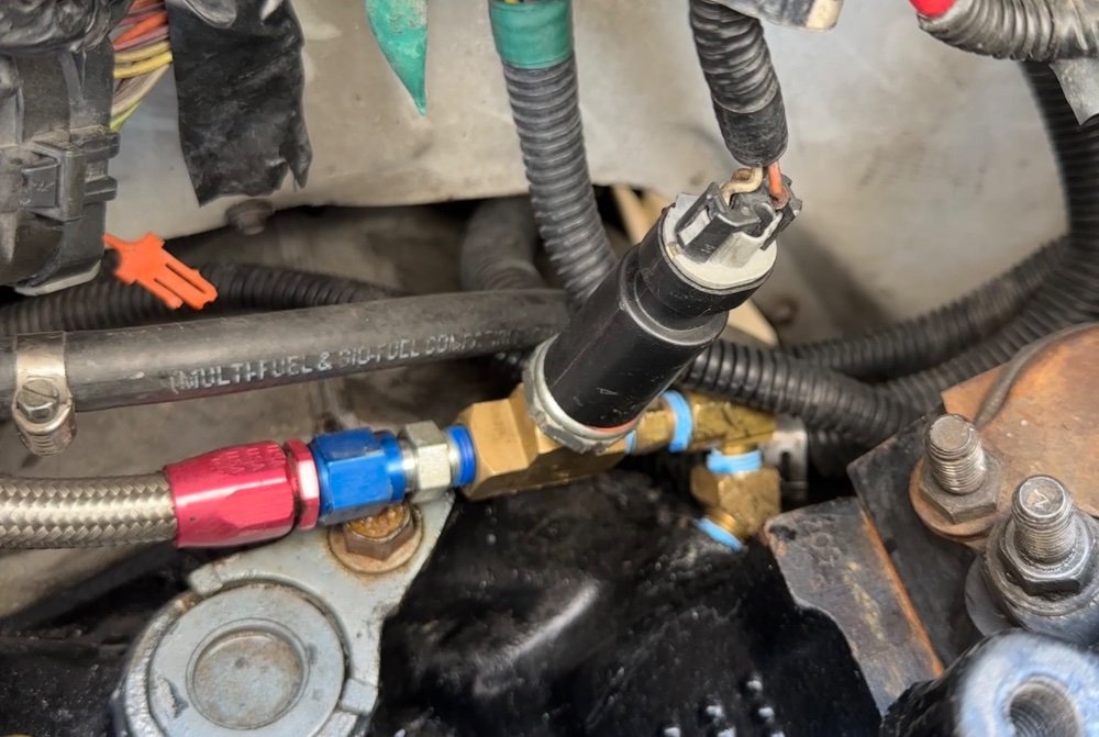 IMG_7540.jpeg IMG_7540.jpeg