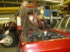 IMGP0622.jpg